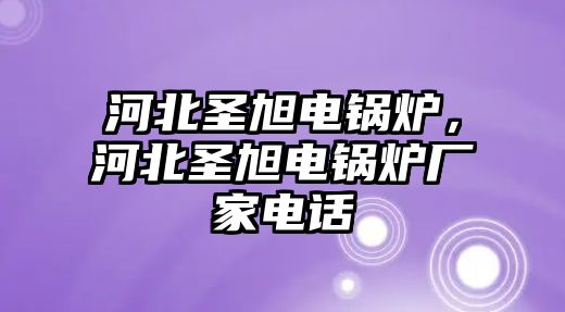 河北圣旭電鍋爐，河北圣旭電鍋爐廠家電話