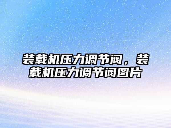 裝載機壓力調節(jié)閥，裝載機壓力調節(jié)閥圖片