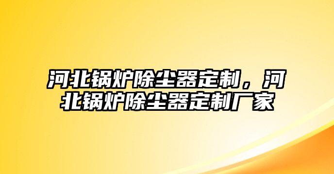 河北鍋爐除塵器定制，河北鍋爐除塵器定制廠家