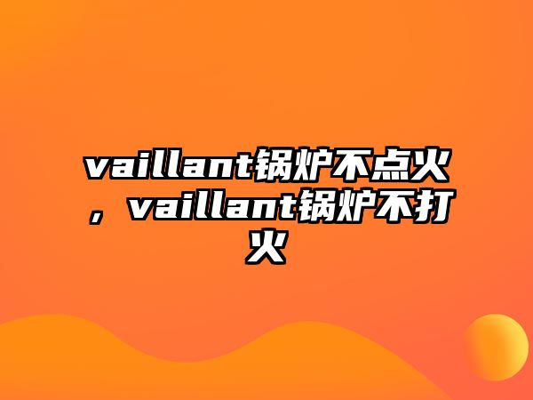 vaillant鍋爐不點火，vaillant鍋爐不打火