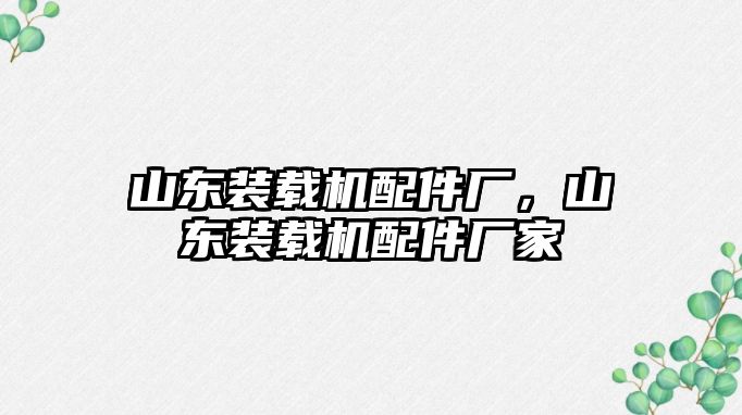 山東裝載機配件廠，山東裝載機配件廠家