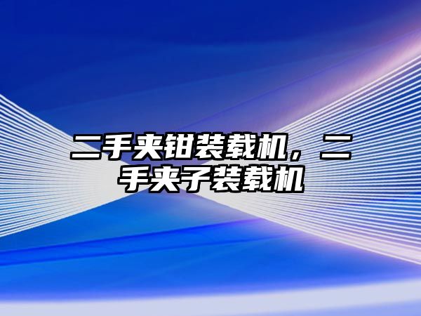 二手夾鉗裝載機(jī)，二手夾子裝載機(jī)