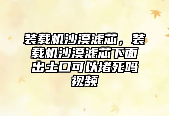 裝載機(jī)沙漠濾芯，裝載機(jī)沙漠濾芯下面出土口可以堵死嗎視頻