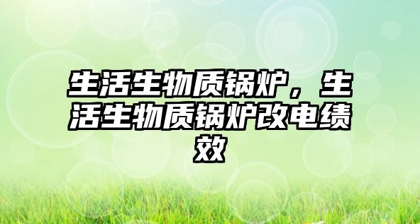 生活生物質(zhì)鍋爐，生活生物質(zhì)鍋爐改電績效