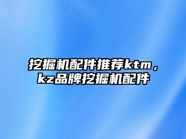 挖掘機配件推薦ktm，kz品牌挖掘機配件