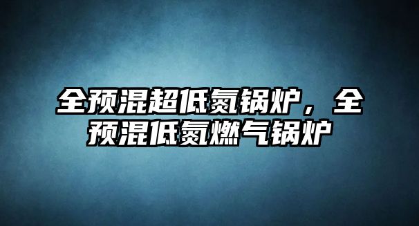 全預混超低氮鍋爐，全預混低氮燃氣鍋爐