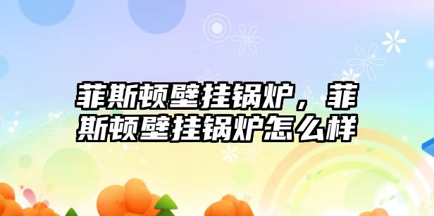 菲斯頓壁掛鍋爐，菲斯頓壁掛鍋爐怎么樣