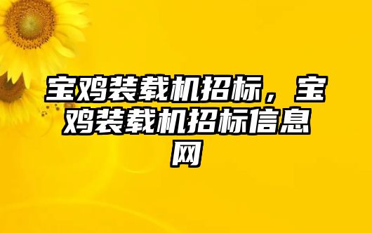 寶雞裝載機(jī)招標(biāo)，寶雞裝載機(jī)招標(biāo)信息網(wǎng)