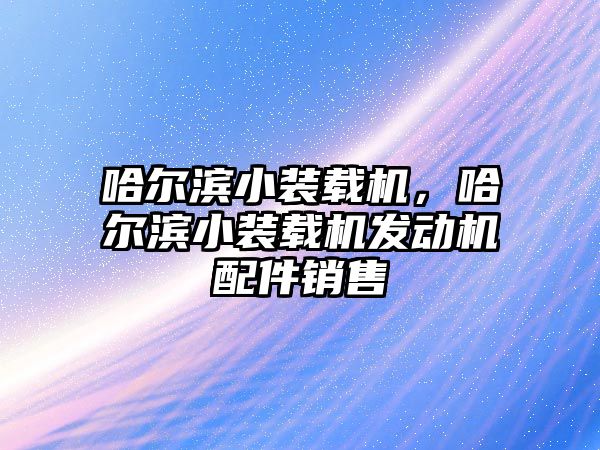 哈爾濱小裝載機，哈爾濱小裝載機發(fā)動機配件銷售