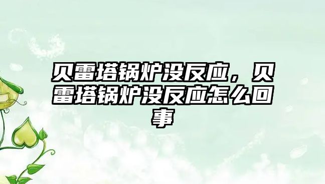 貝雷塔鍋爐沒反應(yīng)，貝雷塔鍋爐沒反應(yīng)怎么回事