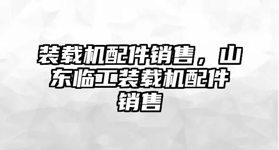 裝載機配件銷售，山東臨工裝載機配件銷售