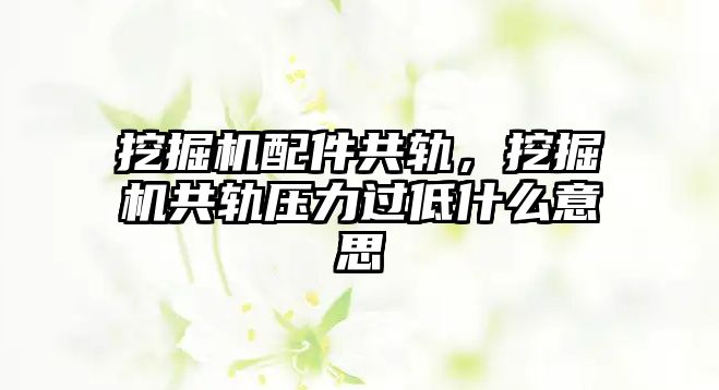 挖掘機配件共軌，挖掘機共軌壓力過低什么意思