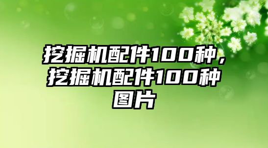 挖掘機(jī)配件100種，挖掘機(jī)配件100種圖片