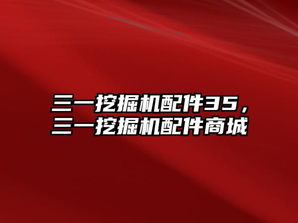 三一挖掘機(jī)配件35，三一挖掘機(jī)配件商城