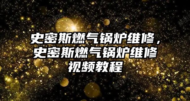 史密斯燃?xì)忮仩t維修，史密斯燃?xì)忮仩t維修視頻教程