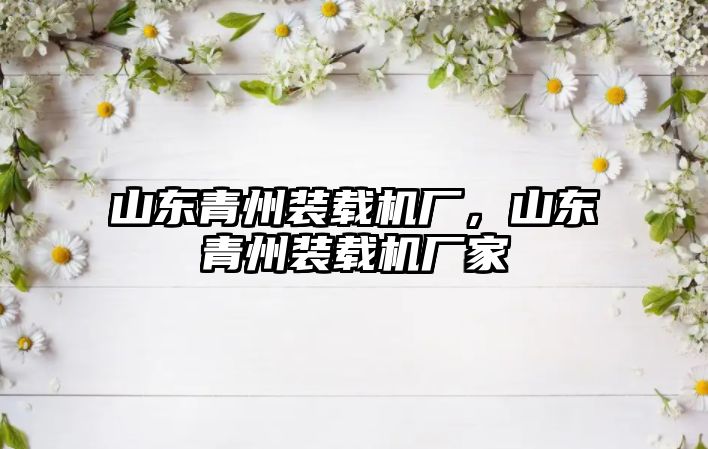 山東青州裝載機廠，山東青州裝載機廠家