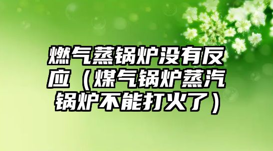 燃?xì)庹翦仩t沒有反應(yīng)（煤氣鍋爐蒸汽鍋爐不能打火了）