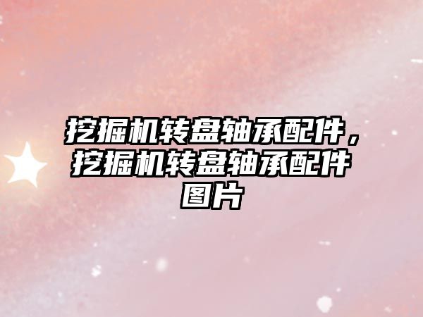 挖掘機轉(zhuǎn)盤軸承配件，挖掘機轉(zhuǎn)盤軸承配件圖片