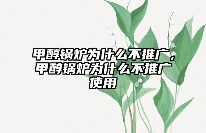 甲醇鍋爐為什么不推廣，甲醇鍋爐為什么不推廣使用