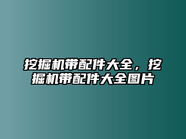 挖掘機(jī)帶配件大全，挖掘機(jī)帶配件大全圖片