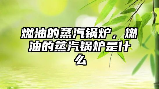 燃油的蒸汽鍋爐，燃油的蒸汽鍋爐是什么