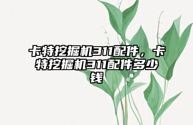 卡特挖掘機311配件，卡特挖掘機311配件多少錢