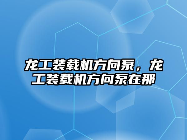 龍工裝載機方向泵，龍工裝載機方向泵在那