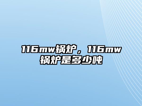 116mw鍋爐，116mw鍋爐是多少噸