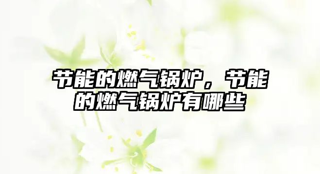 節(jié)能的燃?xì)忮仩t，節(jié)能的燃?xì)忮仩t有哪些