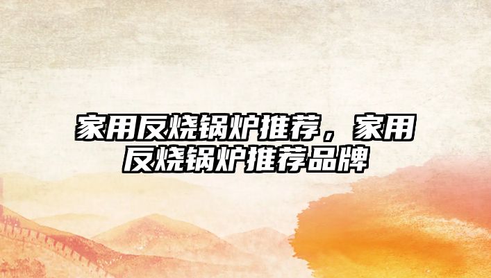 家用反燒鍋爐推薦，家用反燒鍋爐推薦品牌