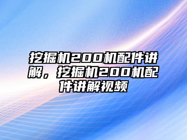 挖掘機(jī)200機(jī)配件講解，挖掘機(jī)200機(jī)配件講解視頻