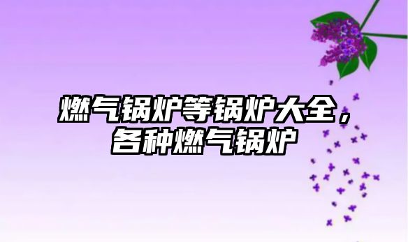 燃?xì)忮仩t等鍋爐大全，各種燃?xì)忮仩t