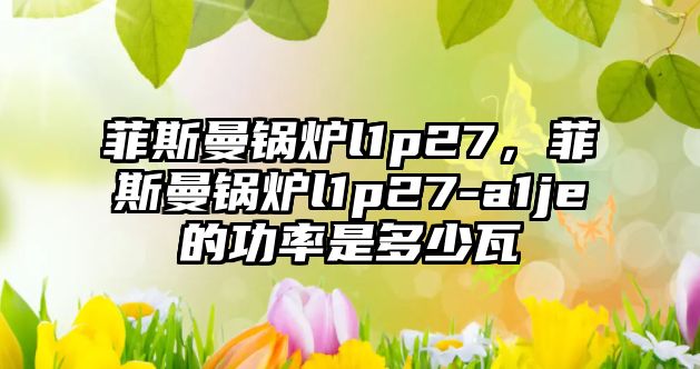 菲斯曼鍋爐l1p27，菲斯曼鍋爐l1p27-a1je的功率是多少瓦