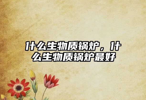 什么生物質(zhì)鍋爐，什么生物質(zhì)鍋爐最好