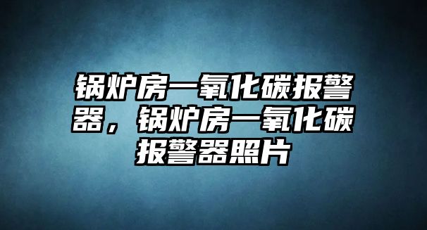 鍋爐房一氧化碳報警器，鍋爐房一氧化碳報警器照片