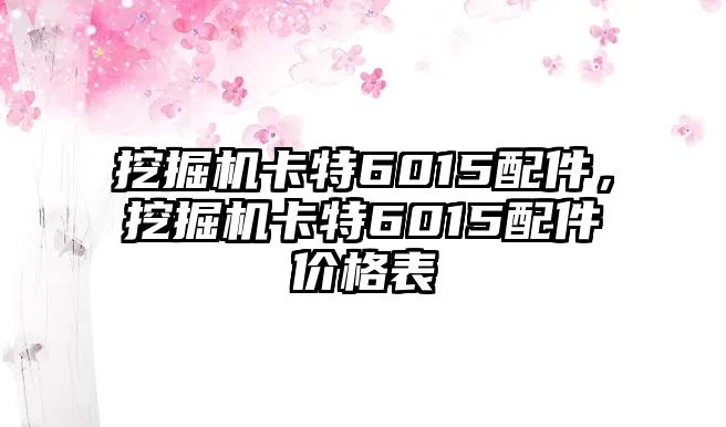 挖掘機(jī)卡特6015配件，挖掘機(jī)卡特6015配件價(jià)格表