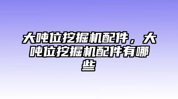 大噸位挖掘機(jī)配件，大噸位挖掘機(jī)配件有哪些