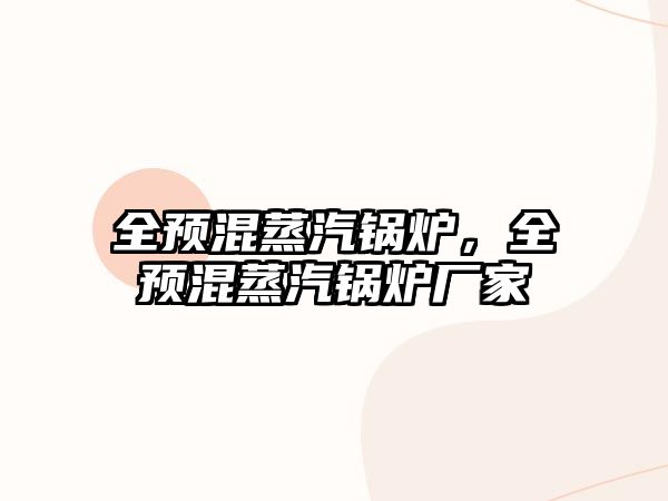 全預混蒸汽鍋爐，全預混蒸汽鍋爐廠家