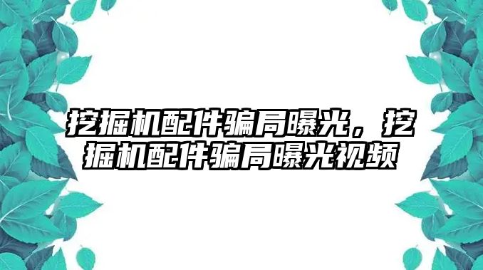 挖掘機配件騙局曝光，挖掘機配件騙局曝光視頻