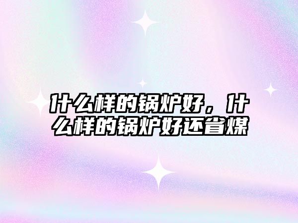 什么樣的鍋爐好，什么樣的鍋爐好還省煤