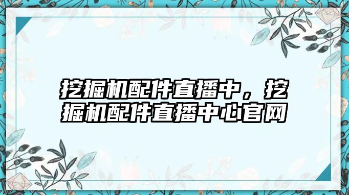 挖掘機(jī)配件直播中，挖掘機(jī)配件直播中心官網(wǎng)