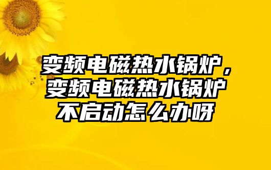 變頻電磁熱水鍋爐，變頻電磁熱水鍋爐不啟動(dòng)怎么辦呀