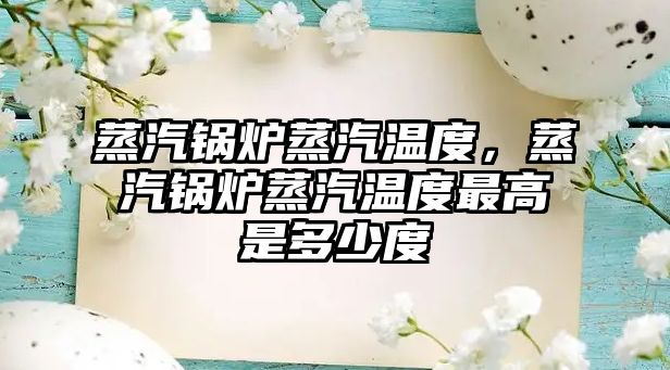 蒸汽鍋爐蒸汽溫度，蒸汽鍋爐蒸汽溫度最高是多少度