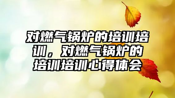 對(duì)燃?xì)忮仩t的培訓(xùn)培訓(xùn)，對(duì)燃?xì)忮仩t的培訓(xùn)培訓(xùn)心得體會(huì)