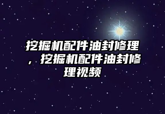 挖掘機(jī)配件油封修理，挖掘機(jī)配件油封修理視頻