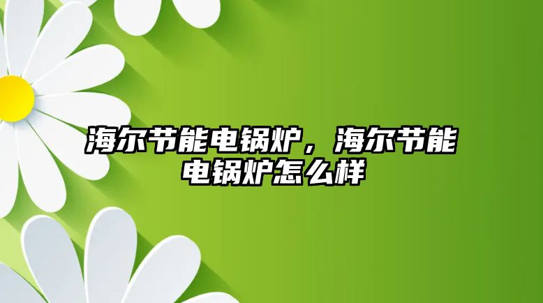 海爾節(jié)能電鍋爐，海爾節(jié)能電鍋爐怎么樣