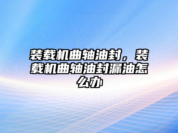 裝載機(jī)曲軸油封，裝載機(jī)曲軸油封漏油怎么辦