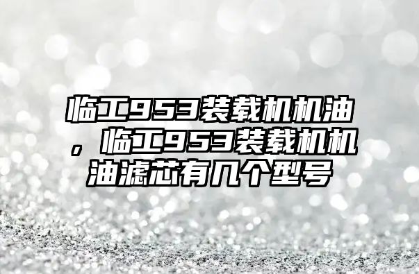 臨工953裝載機機油，臨工953裝載機機油濾芯有幾個型號