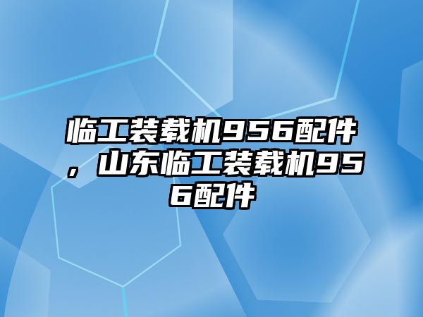 臨工裝載機(jī)956配件，山東臨工裝載機(jī)956配件