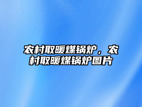 農(nóng)村取暖煤鍋爐，農(nóng)村取暖煤鍋爐圖片